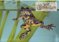 Preview: CM 2898 / 2901 - WWF ● - 1989